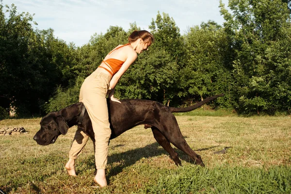 Glad kvinna spelar hund utomhus i området vänskap — Stockfoto