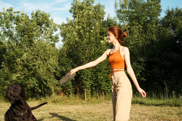 Kvinna leker med en stor svart hund utomhus i fält kul vänskap — Stockfoto
