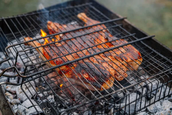 Cottura a carbone pollo alla griglia brazier natura aria fresca — Foto Stock