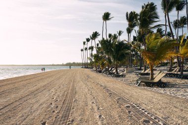Plaj güneşi uzanır beyaz kum palmiyeleri tropik manzaralar lüks