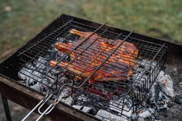 Natura barbecue grigliate cibo barbecue ricreazione all'aperto — Foto Stock