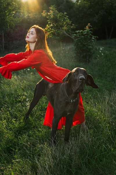 Frau im roten Kleid auf einem Feld mit schwarzem Hund Freundschaftsspaß — Stockfoto