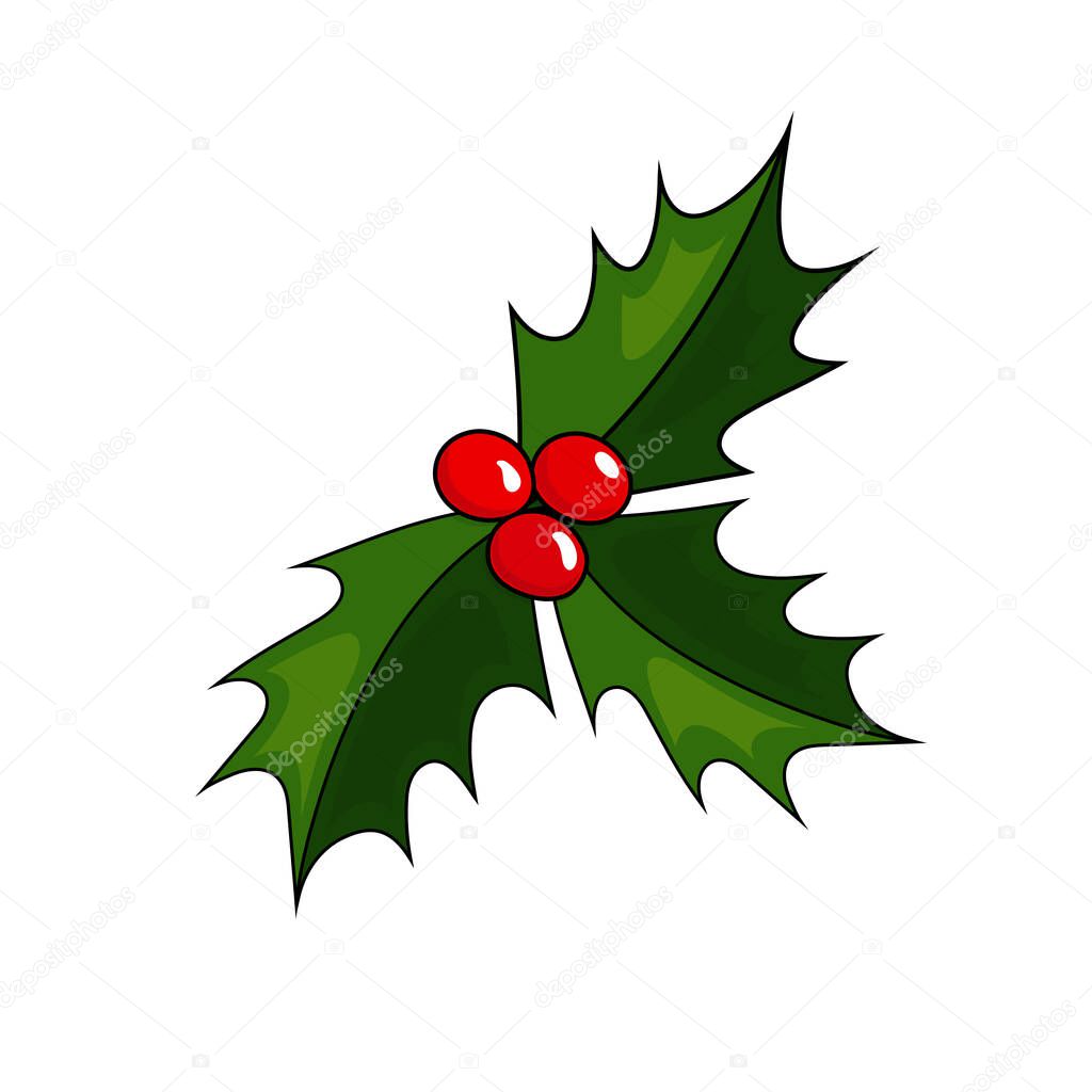 Holly with green leaves and red berries isolated on white background. Bright decoration for New Year and Christmas. Ilex aquifolium.  Vector illustration.
