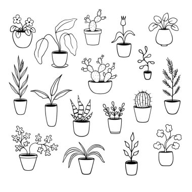 Güzel el çizimi saksı bitkileri. Ev bitkilerinin karalama çizimi. Beyaz arkaplanda izole ögeler. 