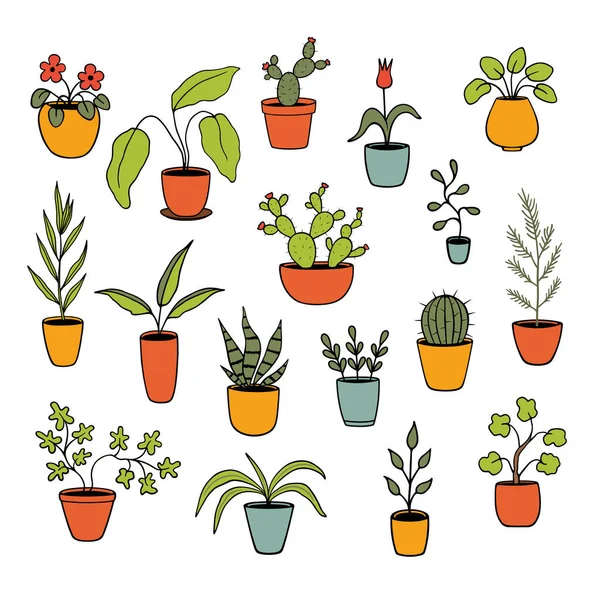 Cuki Cserepes Növények Színes Illusztrációja Beltéri Növények Elszigetelt Elemek Fehér — Stock Vector
