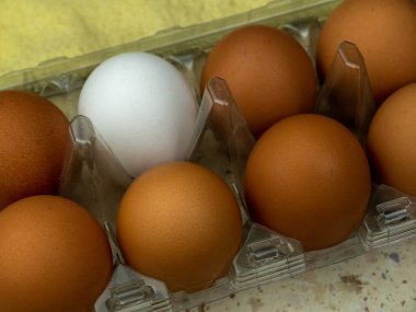 Açık bir kutuda kahverengi tavuk yumurtası. Seçici odak.