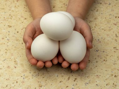 Çocukların ellerinde güzel beyaz yumurtalar. Üst Manzara. Yakın plan. Boşluğu kopyala.