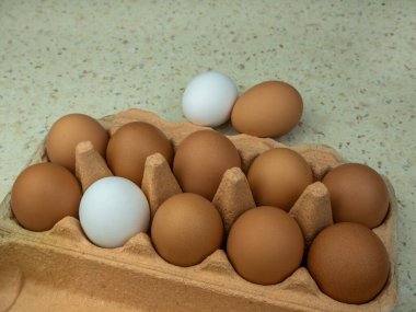 Açık bir kutuda taze yumurta çiftliği. Üst Manzara. Boşluğu kopyala.