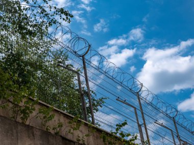 Mavi gökyüzüne karşı yuvarlanmış dikenli tellerle çevrili hapishane çitleri. Boşluğu kopyala.