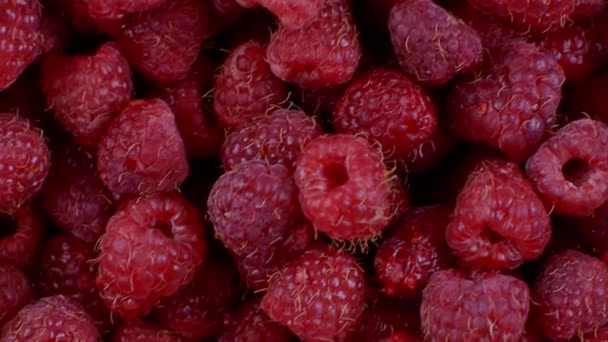Detailní Záběr Krásných Zralých Červených Malin Přírodní Potrava Dobrá Pro — Stock video