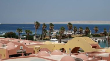 Sea tourist harbor with white yachts in the early morning. The wind beautifully shakes the tall green flames on the shore. Seascape.