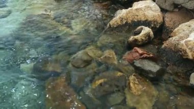 Güzel deniz kıyısı, sakin sörf, temiz su. Sakin düşünce ve rahatlama.