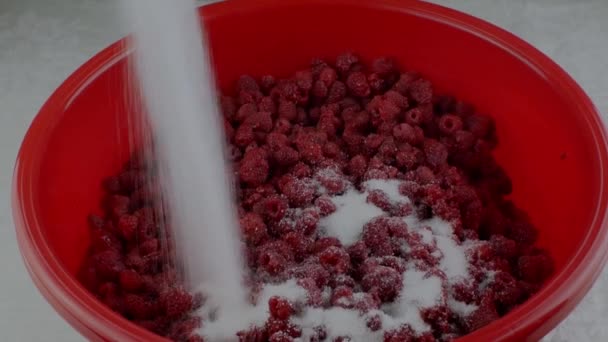 Φρέσκα Ώριμα Κόκκινα Σμέουρα Ένα Μεγάλο Κόκκινο Μπολ Πασπαλισμένα Ζάχαρη — Αρχείο Βίντεο
