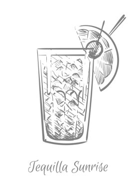 Mojito cocktail alcohol sketch hand drawn vector illustration