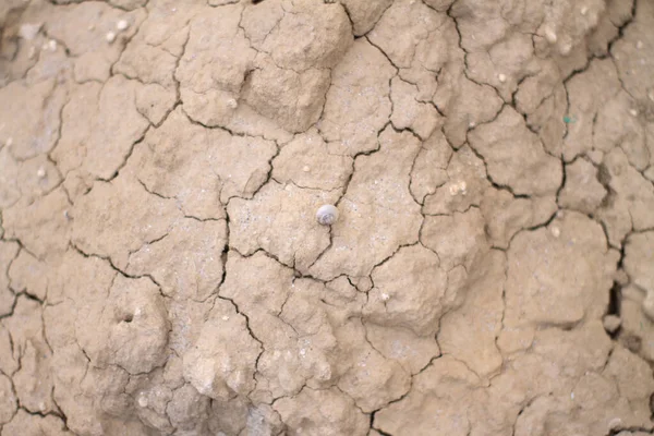  relief created from clay in Ukraine. High quality photo