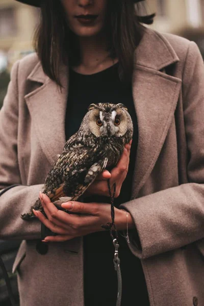 Very Beautiful Girl Hat Owl High Quality Photo — стоковое фото