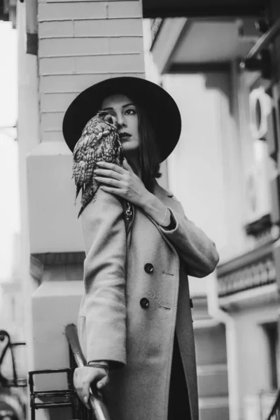 Very Beautiful Girl Hat Owl High Quality Photo — Stock fotografie