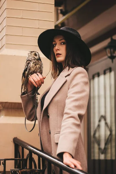 Very Beautiful Girl Hat Owl High Quality Photo — Stockfoto