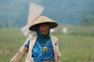 Indonesian farmers working in the fields