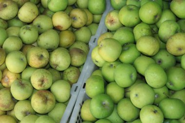 Pile of apples in the basket