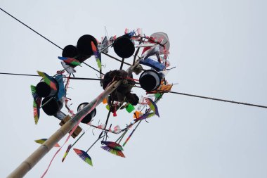 77. Endonezya Bağımsızlık Günü 'nü kutlamak için gökyüzü bulutluyken Areca tırmanışı yarışması