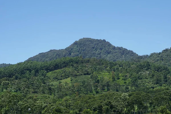 Kamulyan Dağı, Endonezya 'nın Java şehrinde yer alan bir dağdır.