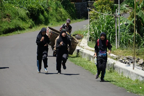 Kros yarışı katılımcıları bitiş çizgisine doğru koşuyorlar