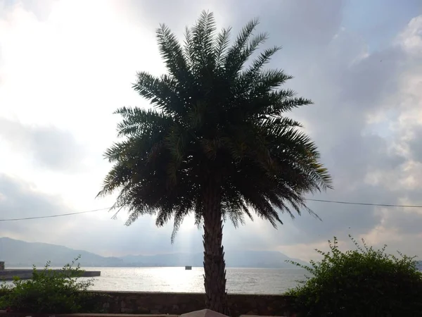 Anasagar Gölü Hindistan 'ın başkenti Rajasthan' da yer alır. 