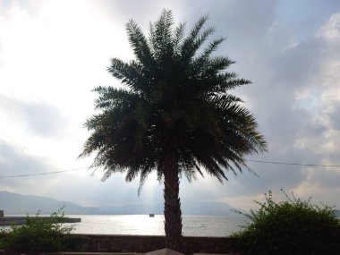 Anasagar Gölü Ajmer, Rajasthan, Hindistan 'da yer almaktadır. 