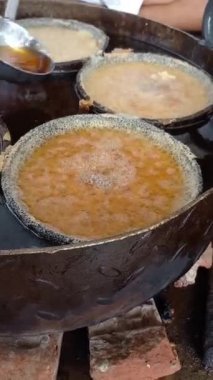 Ganj timsahı, jaipur, rajasthan, Hindistan 