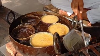 Ganj timsahı, jaipur, rajasthan, Hindistan 