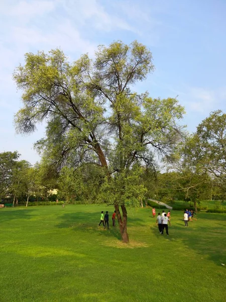 Αγόρια Παίζουν Ποδόσφαιρο Στο Central Park Jaipur — Φωτογραφία Αρχείου