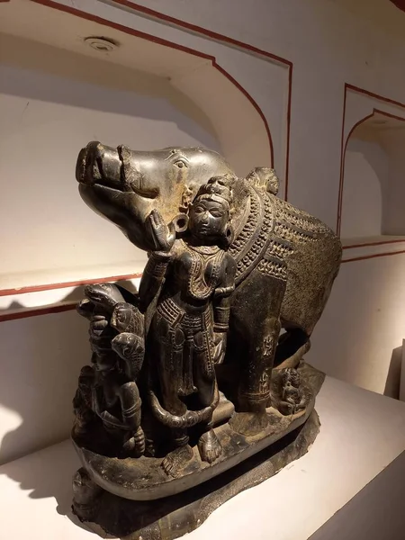 Ajmer Museo Del Governo Trova Ajmer Rajasthan India — Foto Stock