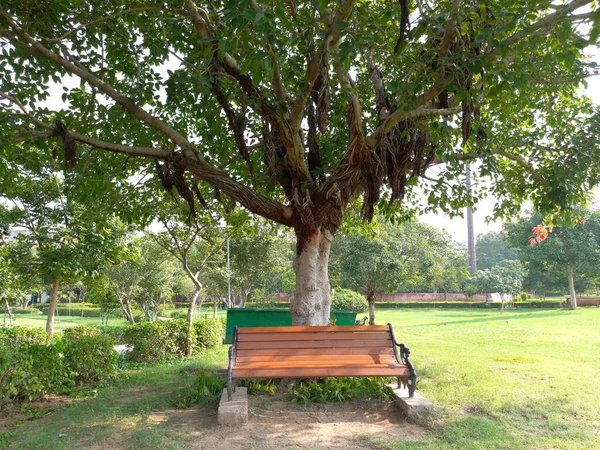 Καρέκλα Πάρκο Ρύθμιση Καθιστικού Στο Πάρκο — Φωτογραφία Αρχείου