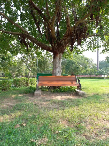 Cadeira Parque Arranjo Sentado Parque — Fotografia de Stock