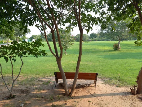 Cadeira Parque Arranjo Sentado Parque — Fotografia de Stock