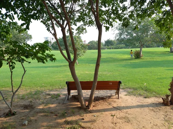 Καρέκλα Πάρκο Ρύθμιση Καθιστικού Στο Πάρκο — Φωτογραφία Αρχείου