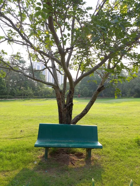Park Chair Sitting Arrangement Park — 图库照片