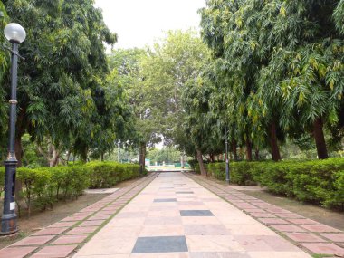 Jawahar Circle Jaipur, Rajasthan, Hindistan 