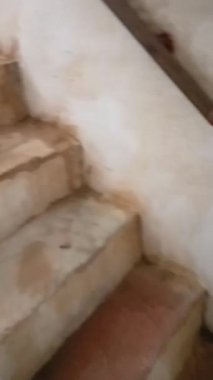 Amer Kalesi Jaipur, Rajasthan, Hindistan 'da yer almaktadır. 