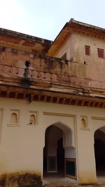 Amer Fort Est Situé Jaipur Rajasthan Inde — Video