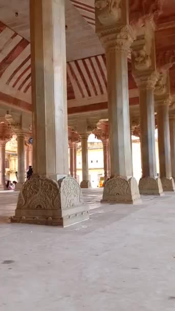 Amer Forte Trova Jaipur Rajasthan India — Video Stock