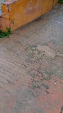 Samgar Gölü Jaipur, Amer Kalesi 'nin arkasında, Rajasthan.