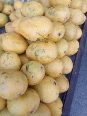 Mango arabası, aam, Rajasthan, Hindistan 