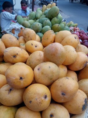 Mango arabası, aam, Rajasthan, Hindistan 