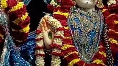 Tanrı Krishna ve Radha Rani 'nin güzel elbiseleri. İkisinin de güzel makyajı büyüleyici.