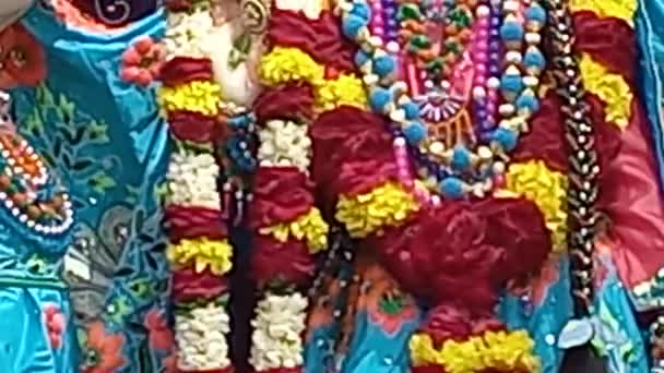 Beautiful Dresses Lord Krishna Radha Rani Beautiful Makeup Both Mesmerizing — Vídeos de Stock