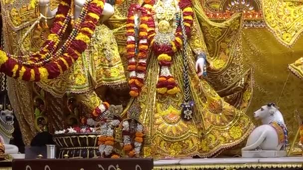 Beautiful Dresses Lord Krishna Radha Rani Beautiful Makeup Both Mesmerizing — Video Stock