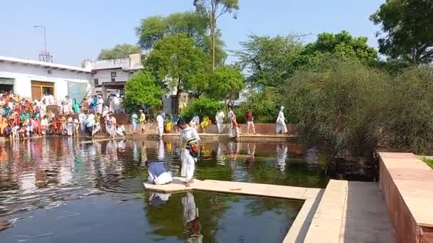 Uddhava Kunda Situated Exactly West Kusum Sarovar Right Side Parikrama — Stock Video