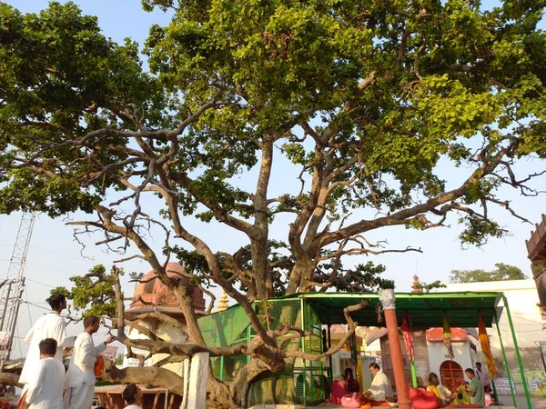 Cheer Ghat Znajduje Się Vrindavan Uttar Pradesh — Zdjęcie stockowe